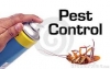 Pest-Control-Services-@-9711901086